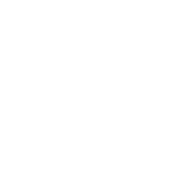 Disc Golf Mart logo